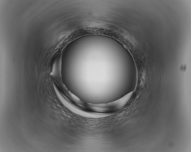 X0000090440965200707201249