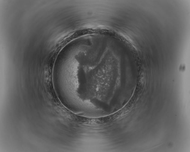 X0000090440966200707201249