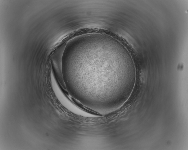 X0000090440968200707201249