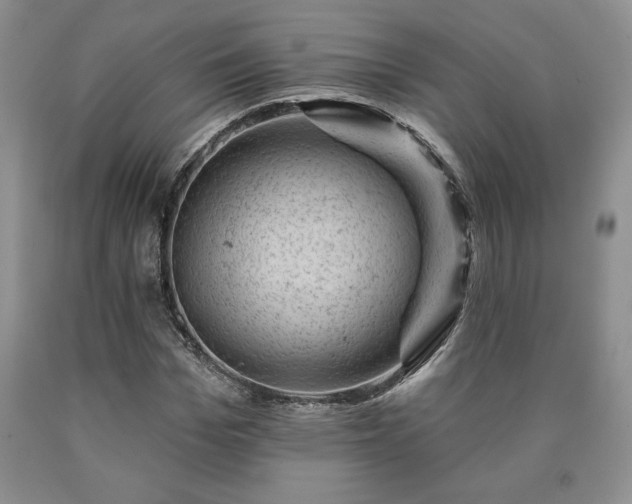 X0000090440969200707201249