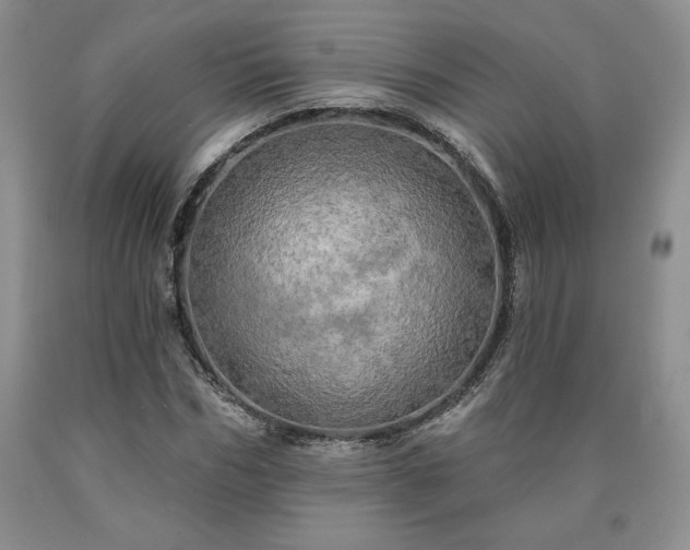 X0000090440970200707201249