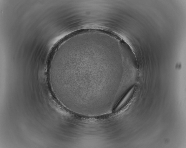 X0000090440971200707201249