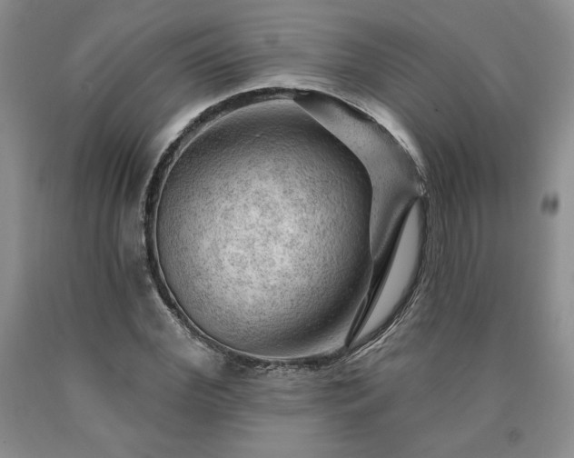 X0000090440972200707201249