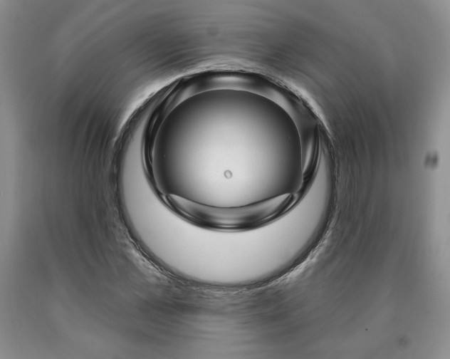 X0000090440973200707201249