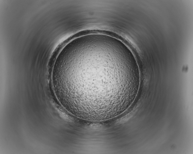 X0000090440974200707201249