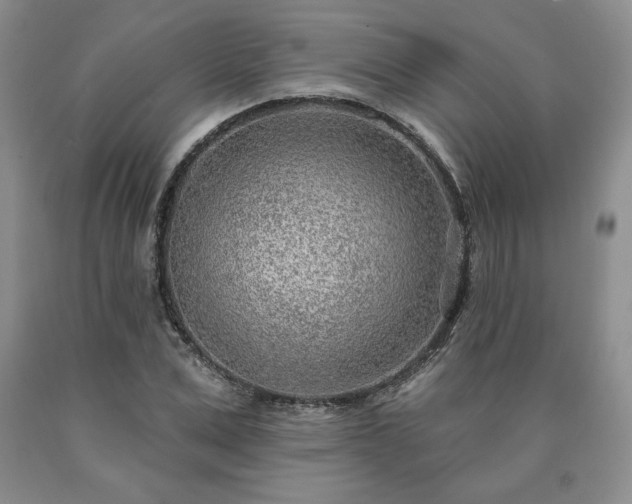 X0000090440975200707201249