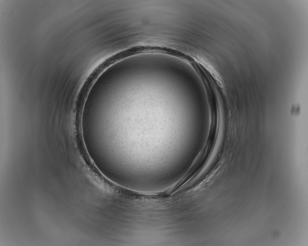 X0000090440976200707201249