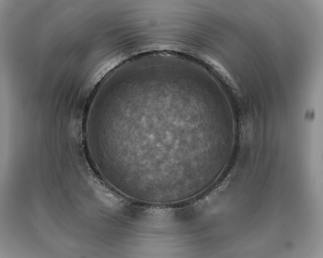 X0000090440977200707201249