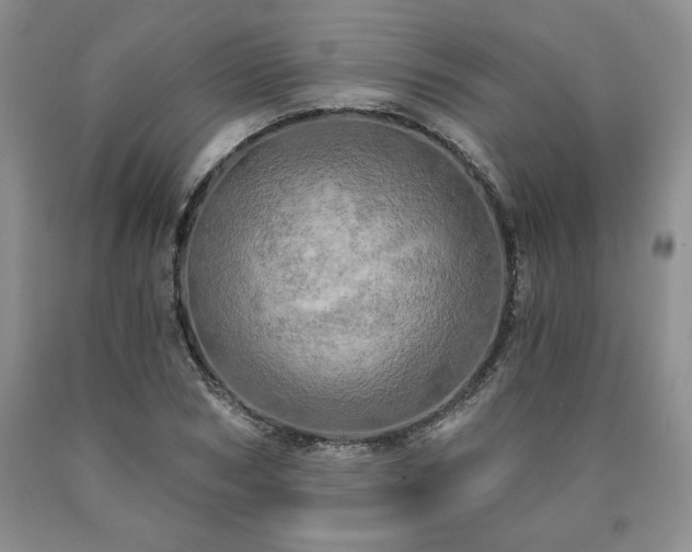 X0000090440978200707201249