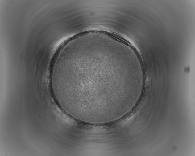 X0000090440979200707201249