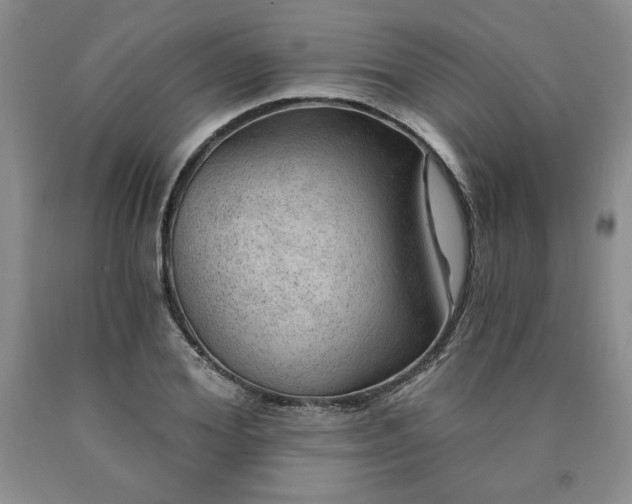 X0000090440980200707201249