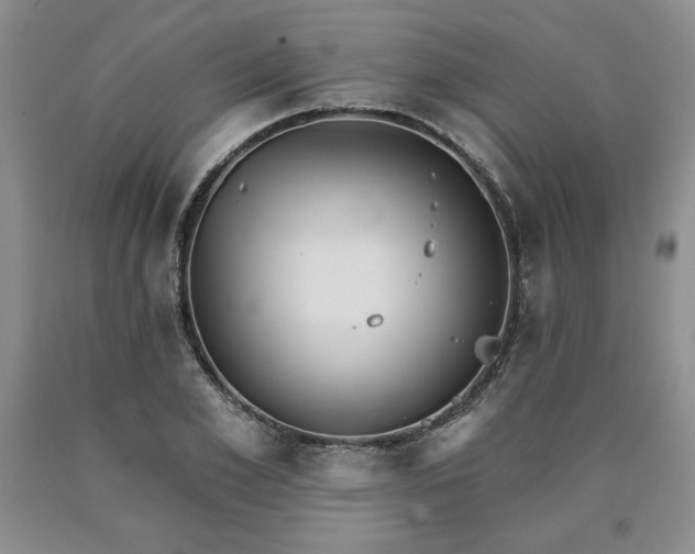 X0000090440981200707201249