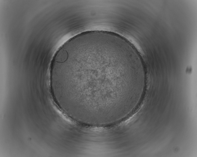 X0000090440982200707201249