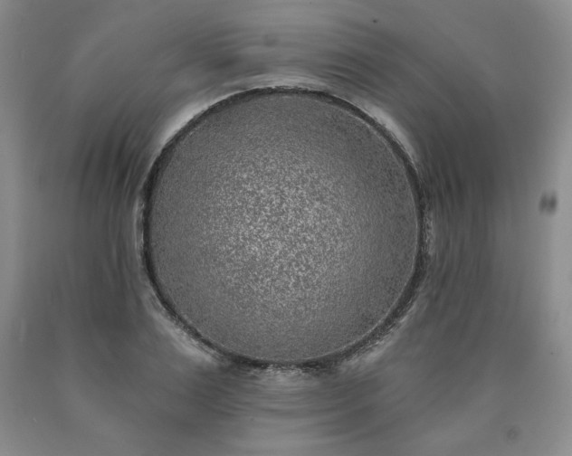 X0000090440983200707201249