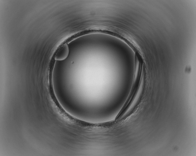 X0000090440984200707201249