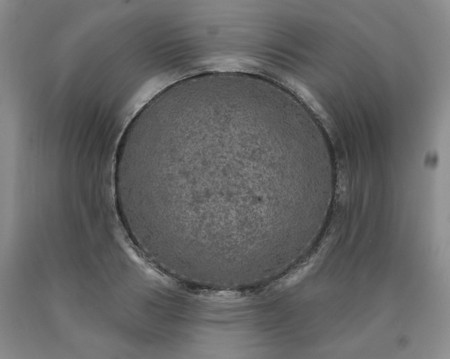 X0000090440986200707201249