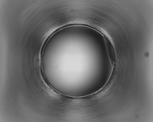 X0000090440988200707201249