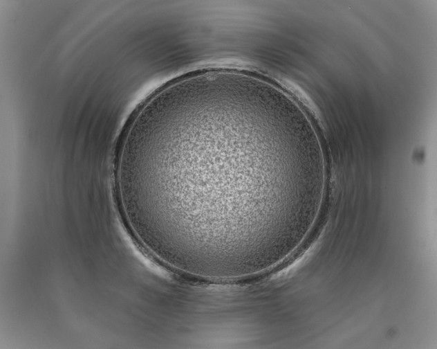 X0000090440989200707201249