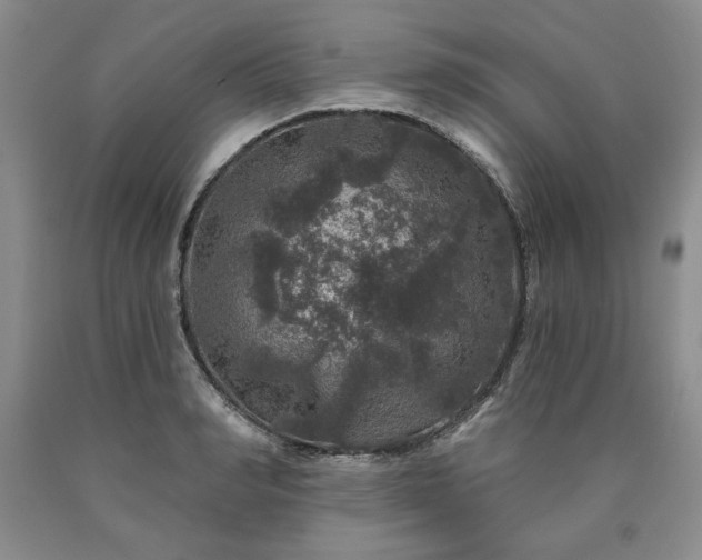 X0000090440990200707201249