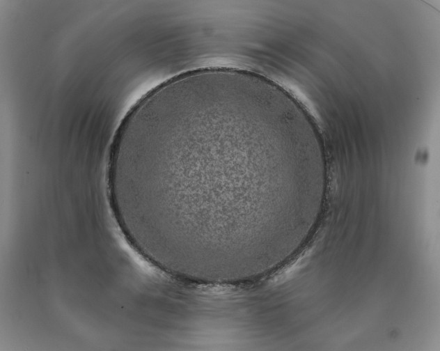 X0000090440991200707201249