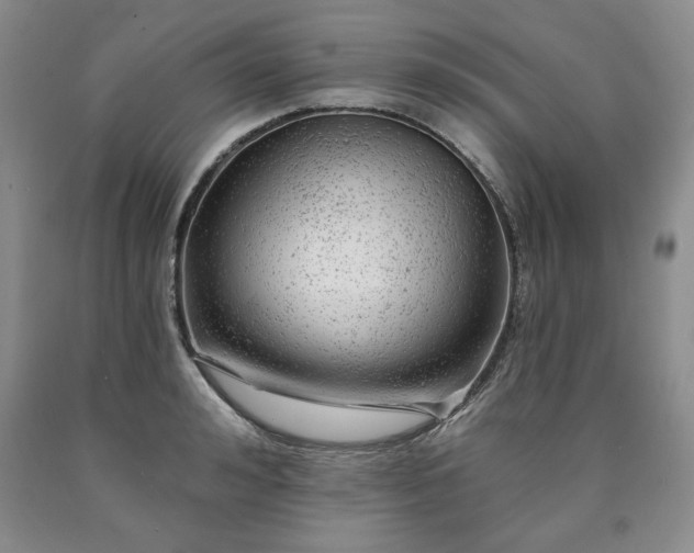 X0000090440992200707201249