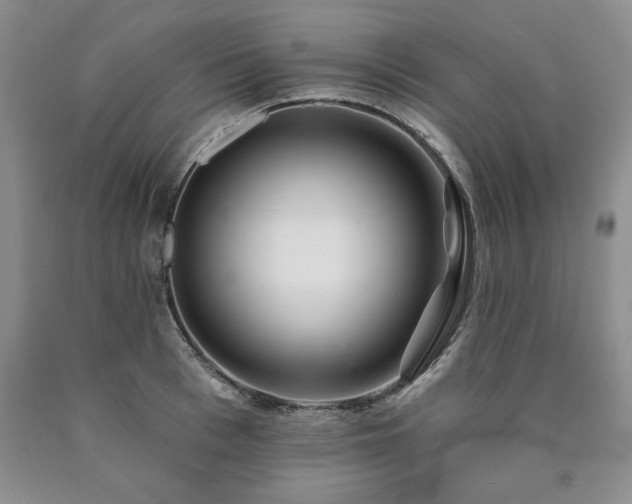 X0000090440993200707201249