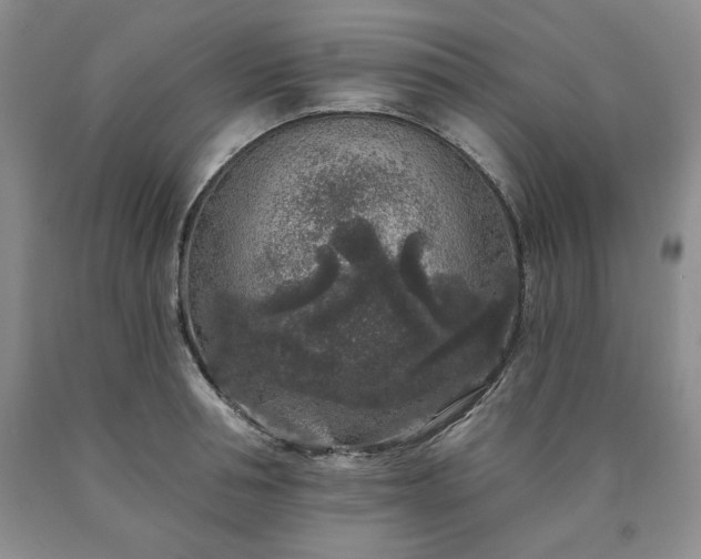 X0000090440994200707201249