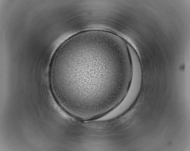 X0000090440995200707201249