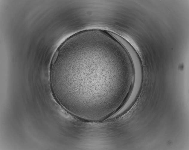 X0000090440996200707201249