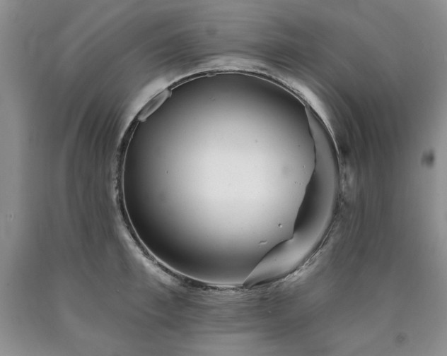 X0000090440997200707201249