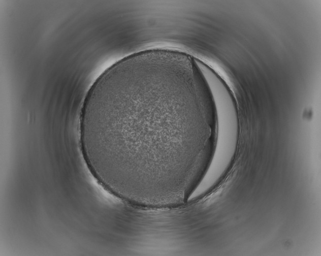 X0000090440999200707201249