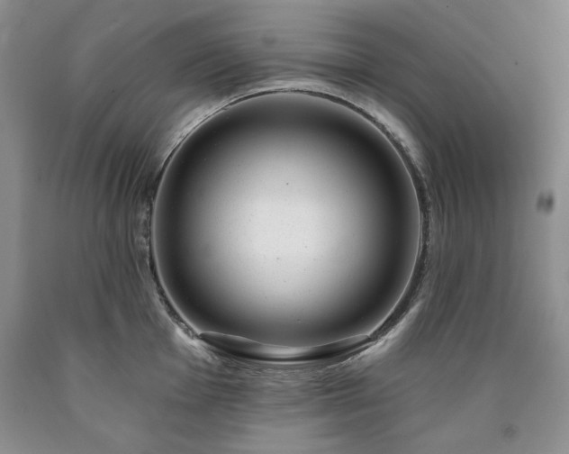 X0000090441001200707201249