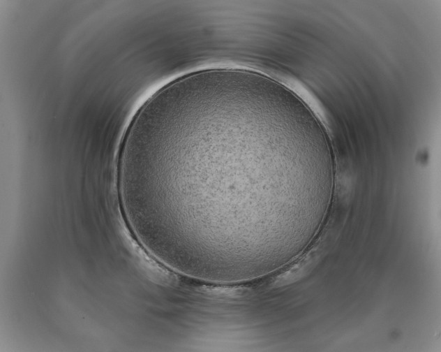 X0000090441004200707201249