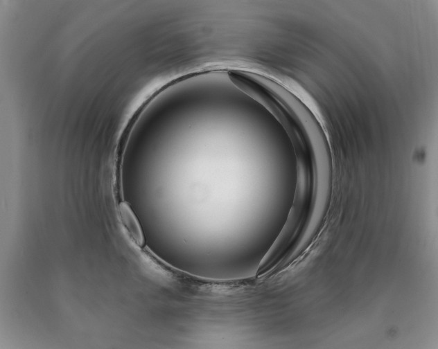 X0000090441005200707201249