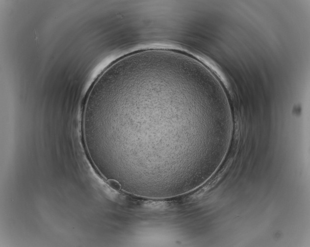 X0000090441006200707201249