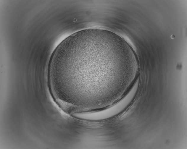 X0000090441007200707201249