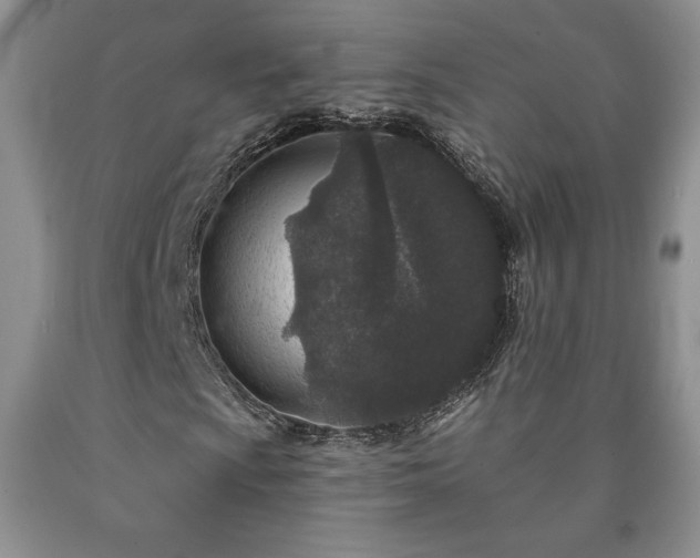 X0000090441009200707201248