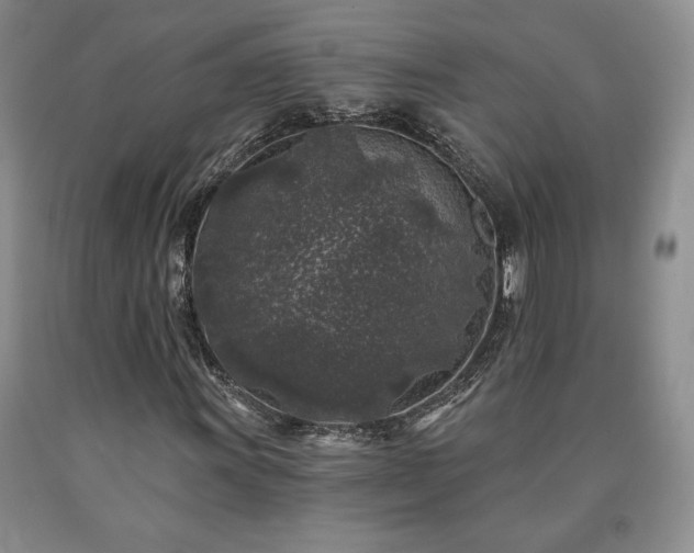 X0000090441011200707201248