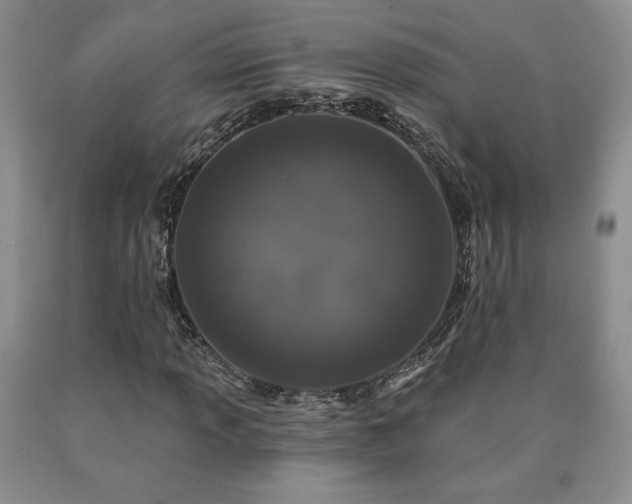 X0000090441013200707201248