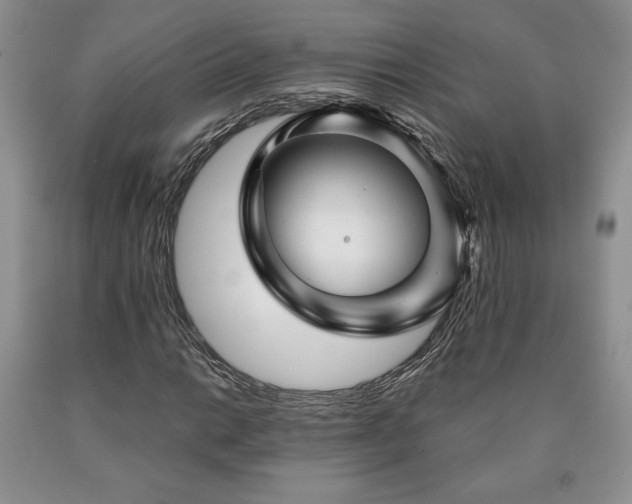 X0000090441014200707201248