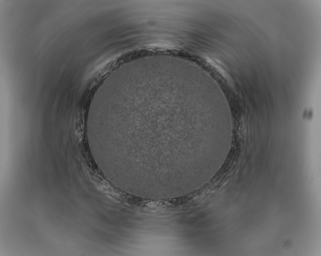 X0000090441015200707201248