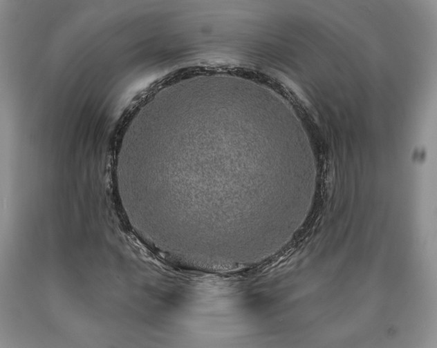 X0000090441016200707201248