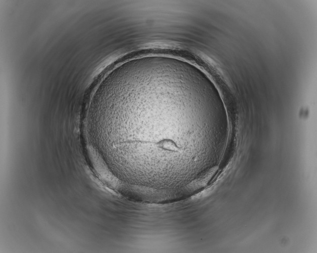 X0000090441017200707201248