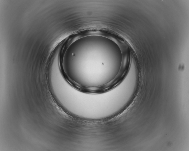 X0000090441018200707201248