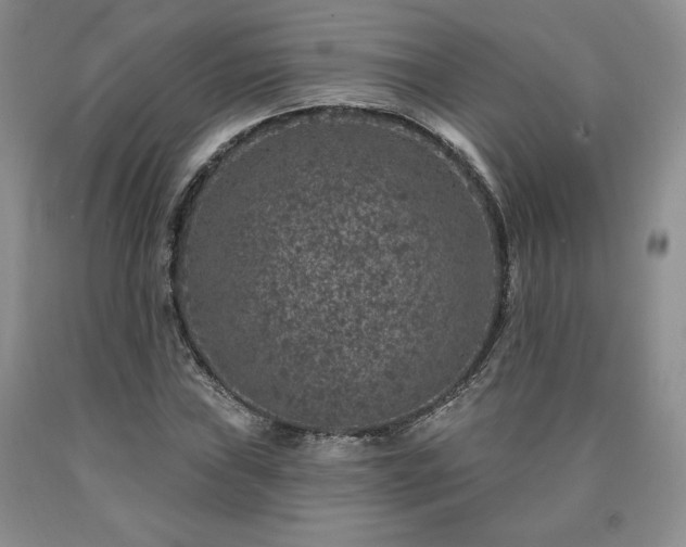 X0000090441019200707201248