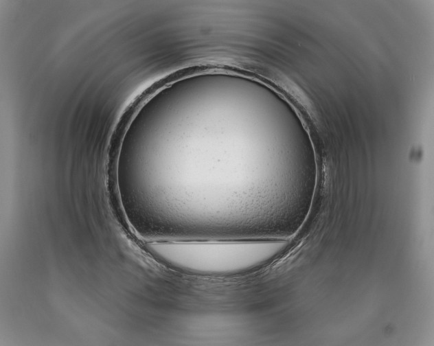 X0000090441020200707201248