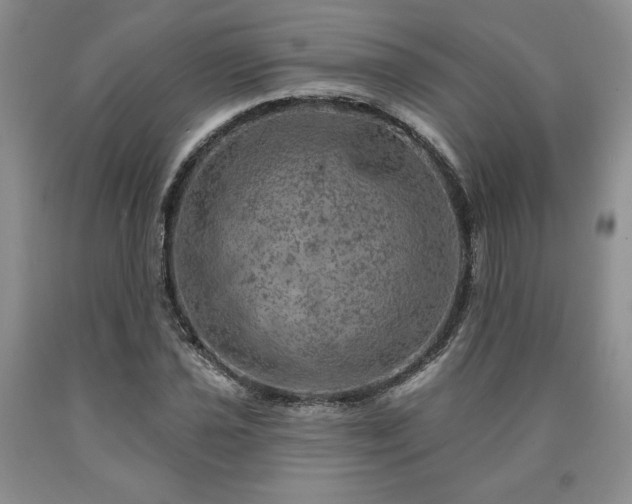 X0000090441021200707201248