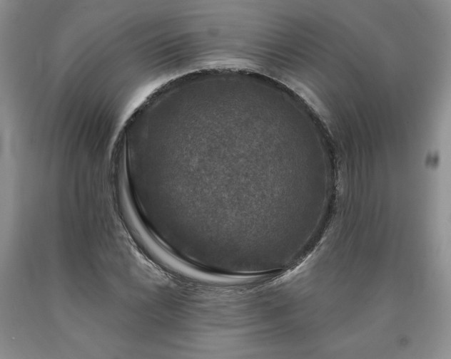 X0000090441022200707201248