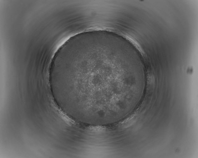 X0000090441023200707201248