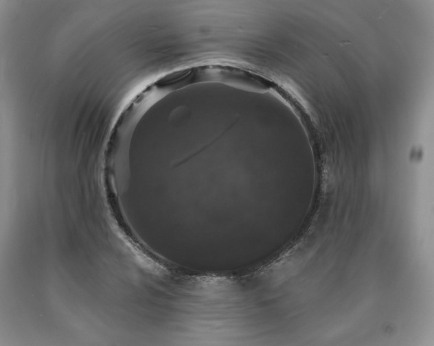 X0000090441024200707201249